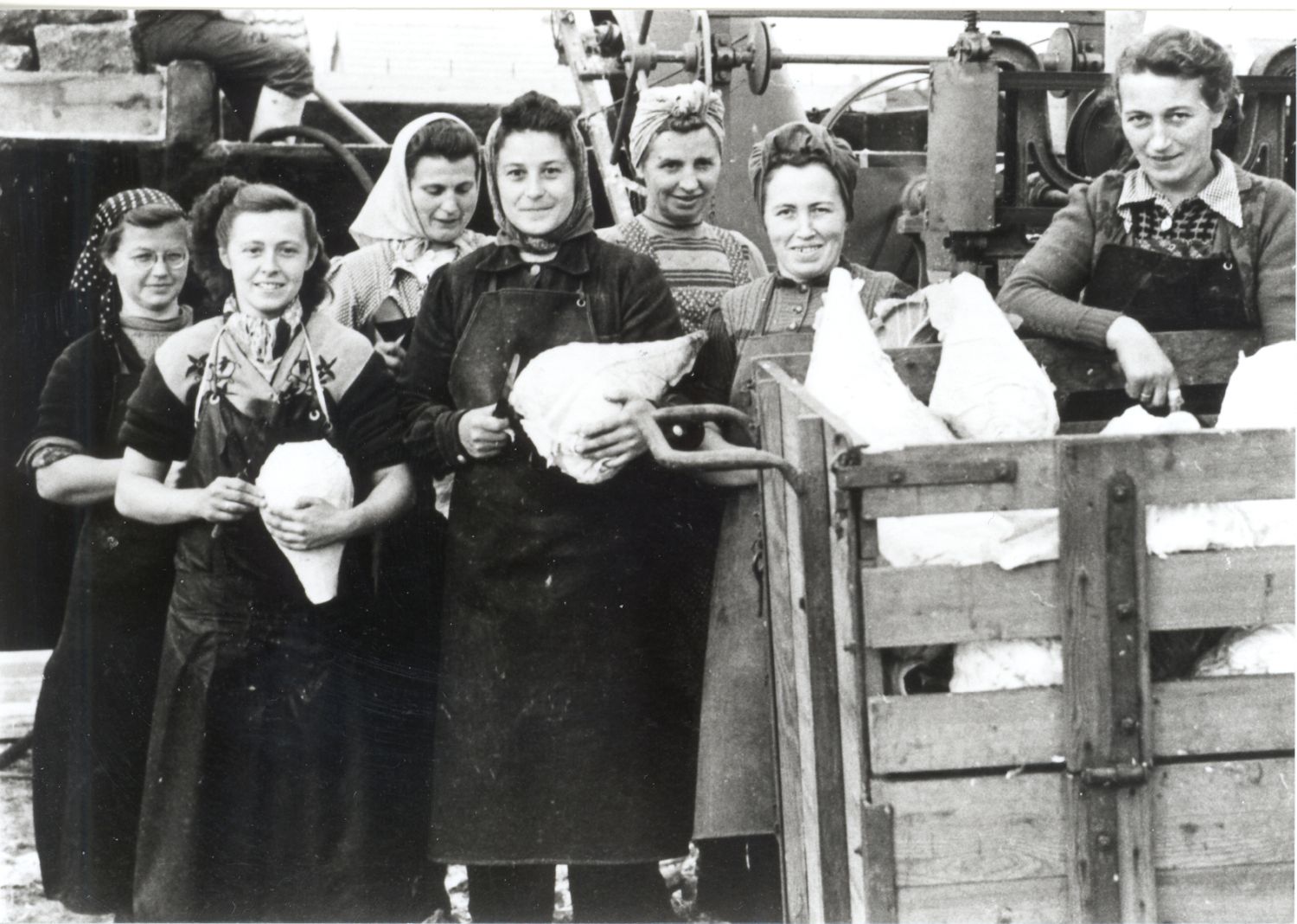 F 093_2.1_Arbeitszeit_Elemente_Frauen-beim-Krautschneiden
