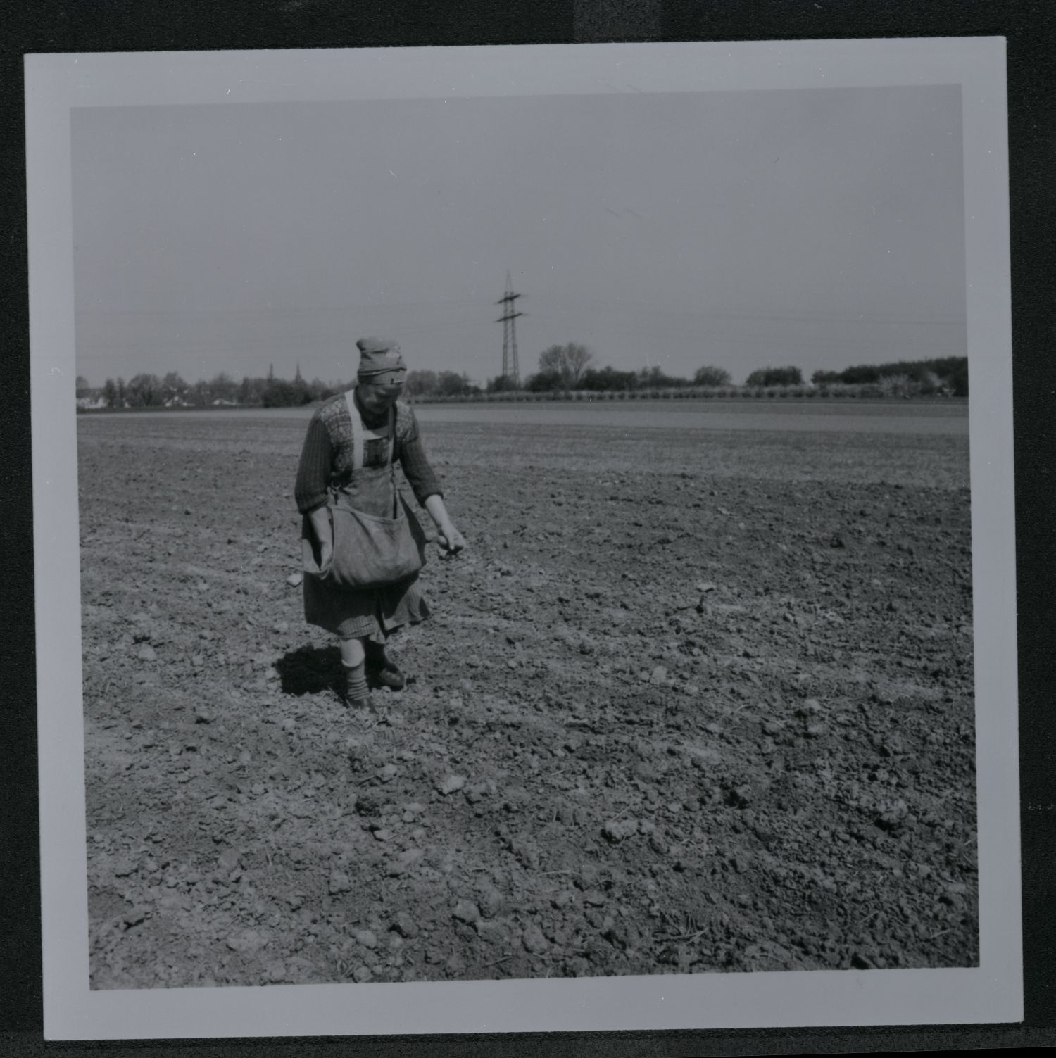 F 797_2.1_Arbeitszeit_Elemente_Kartoffelsetzen 1967