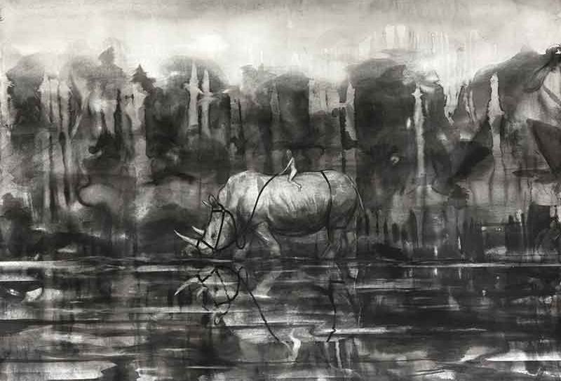 Nashorn mit Zaumzeug vor Landschaftshintergrung in schwarz-wei&szlig;