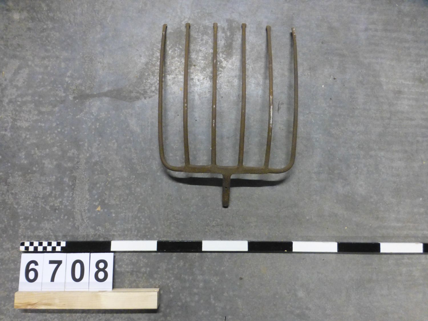 Freizeit_Garten_Ernte Gabel_06708 (1)