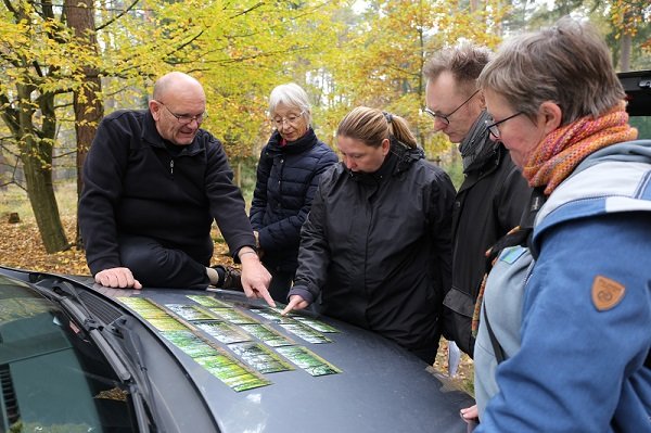 Eine Gruppe von Menschen betrachtet im Wald Fotografien von Bäumen, die auf einer Motorhaube liegen.