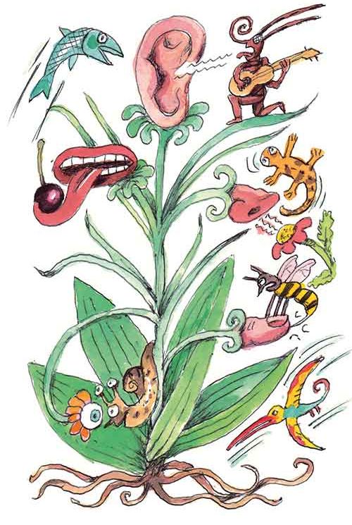 Zeichnung einer Pflanze mit Ohr und Mund