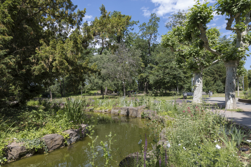 Foto aus dem Vernapark: Blick auf den Teich
